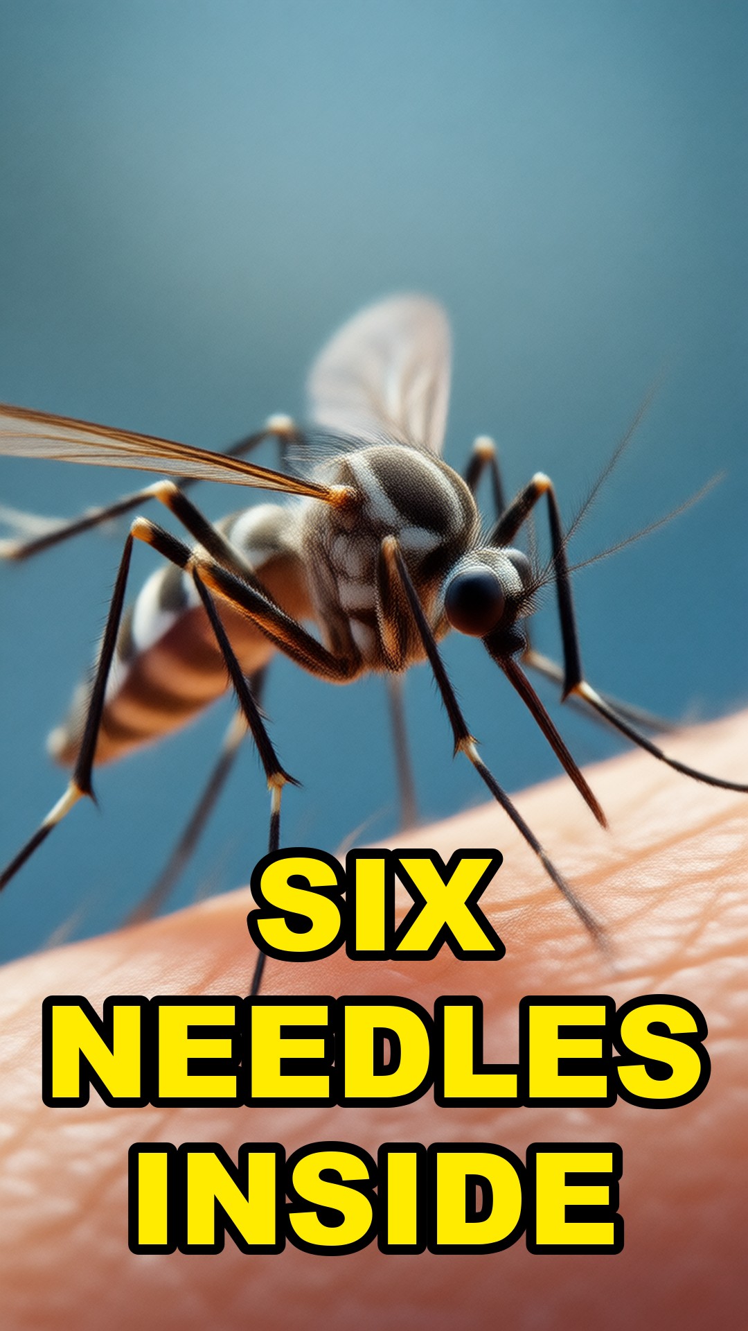 Cartoon illustration: A Mosquito Stabs You With Six Needles At Once
